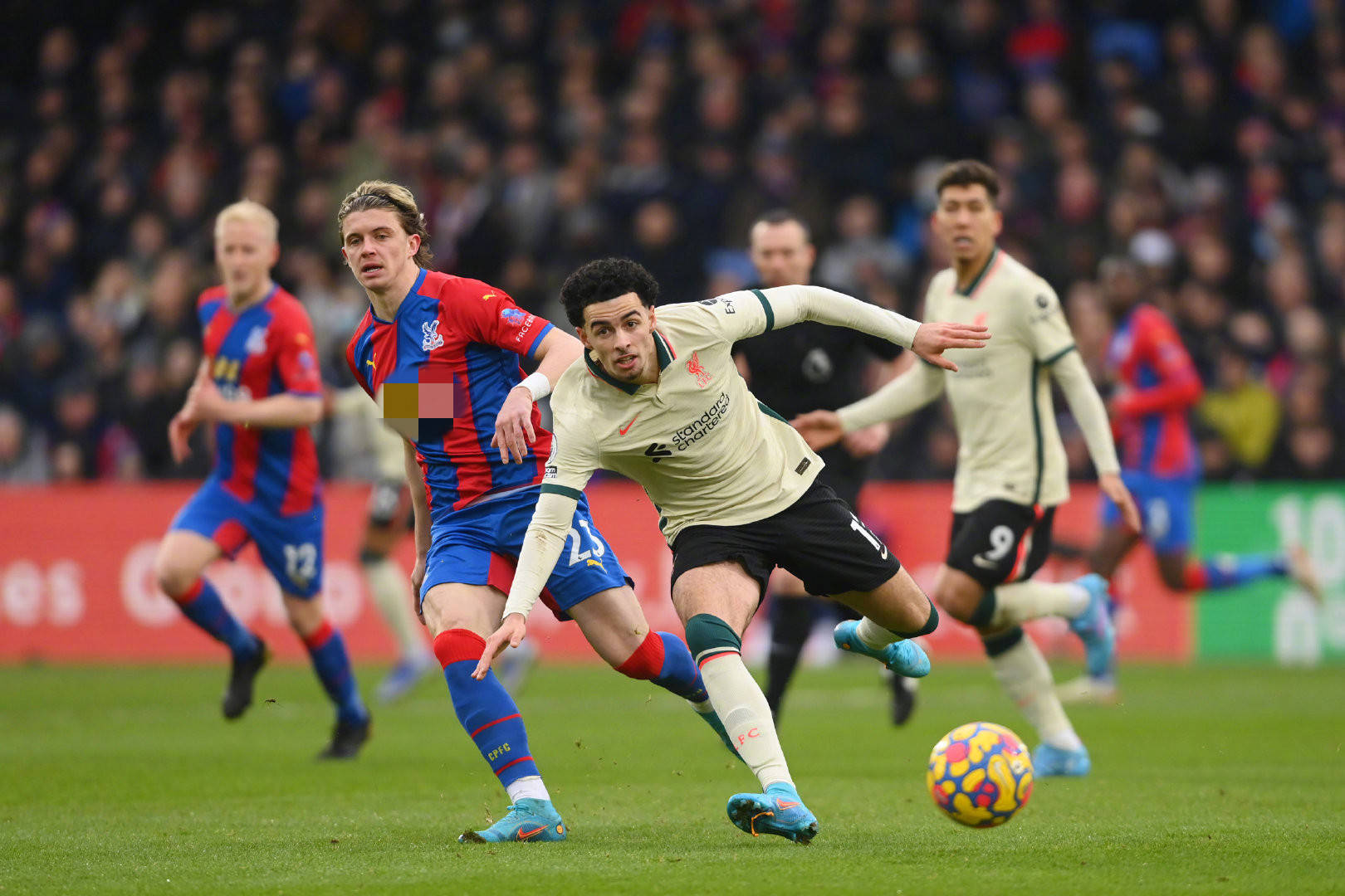 员在球队中 员在球队中